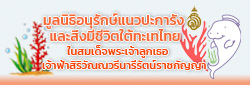 Relateds Banner Slider-68f8125719ff2.jpg